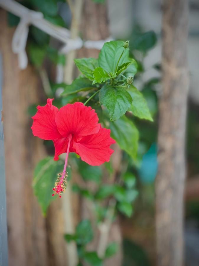 Ghe Home Phu Quoc Fishing Village エクステリア 写真